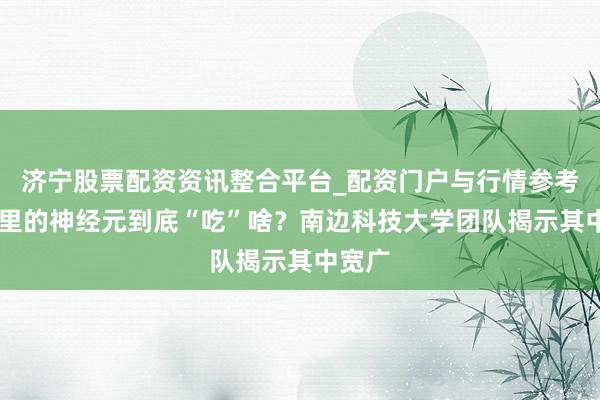 济宁股票配资资讯整合平台_配资门户与行情参考 脑子里的神经元到底“吃”啥？南边科技大学团队揭示其中宽广